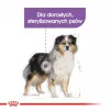 Sausas šunų maistas Royal Canin Medium Sterilised Adult 12 kg — sterilizuotiems vidutinių veislių suaugusiems šunims, Paukštiena, Baltymai 28 %, Riebalai 13 %