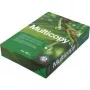 Papyrus Multicopy spausdinimo popierius A4 500 lapų 80 g/m² Baltas