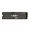 Silicon Power XD80 1 TB M.2 PCI Express 3.0 NVMe