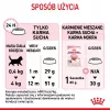 Sausas kačių maistas Royal Canin Kitten 10 kg – vištiena, 36 % baltymų, 18 % riebalų, kačiukams ir nėščioms/laktuojančioms katėms