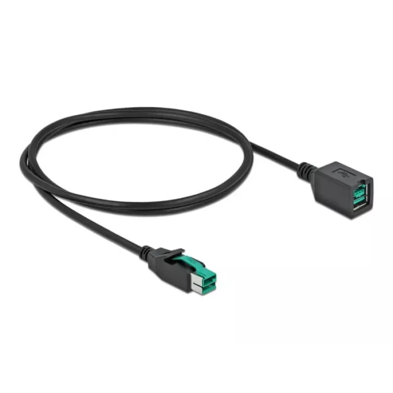 Maitinamas USB ilginimo laidas DeLOCK 85980 12 V 1 m