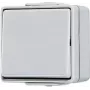 JUNG 607 W - Mygtukinis jungiklis - Laidinis - Pilka - termoreaktingasis plastikas - 250 V - 10 A