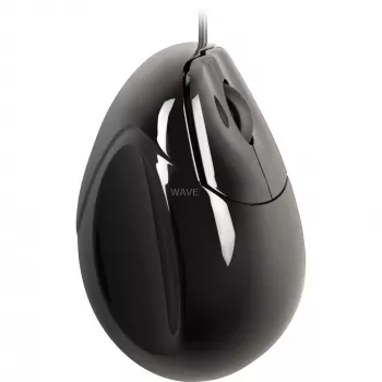 Evoluent VMS produktas