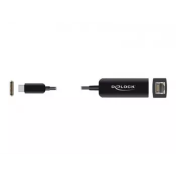 Adapter USB Type-C vyriškas į 2.5 Gigabit LAN kompaktiškas DeLOCK 66645