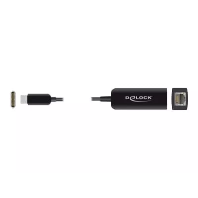 Adapter USB Type-C vyriškas į 2.5 Gigabit LAN kompaktiškas DeLOCK 66645