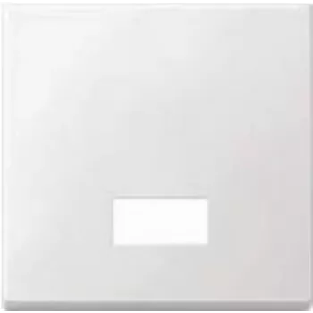 Merten 434819 šviesos jungiklis, termoreaktingasis plastikas (434819)