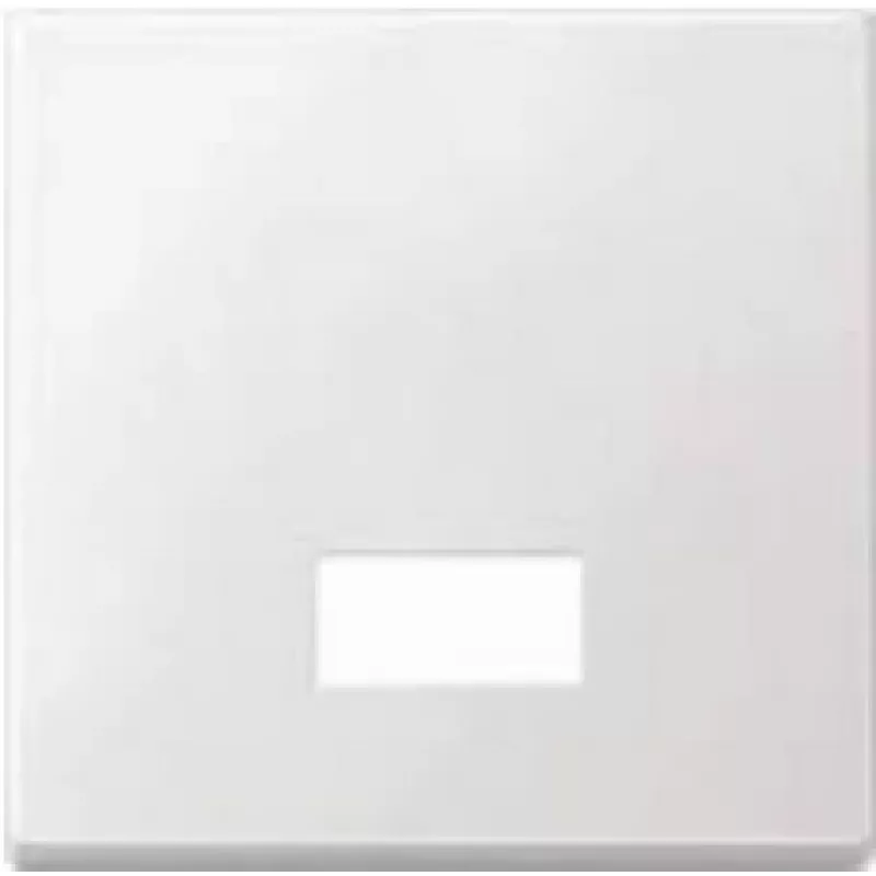 Merten 434819 šviesos jungiklis, termoreaktingasis plastikas (434819)