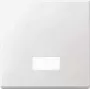 Merten 434819 šviesos jungiklis, termoreaktingasis plastikas (434819)