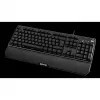Qpad 9J.P7N81.K0G juoda