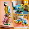 LEGO konstravimo rinkinys Egzotiška papūga 31136 — Creator parodomasis modelis, 253 dalys, 220×120×110 mm
