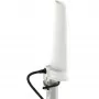 Viskakryptė 4 dBi 5G/LTE antena Poynting A-OMNI-0280-02-V1 SMA (kištukas) 2 m kabelis, montavimas ant stiebo/sienos, balta