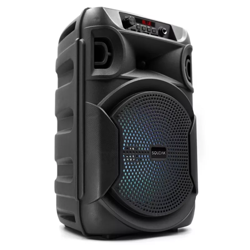 BLUETOOTH GARSIAKALBIS 5.3 E DR PULSETOWER SQ1006