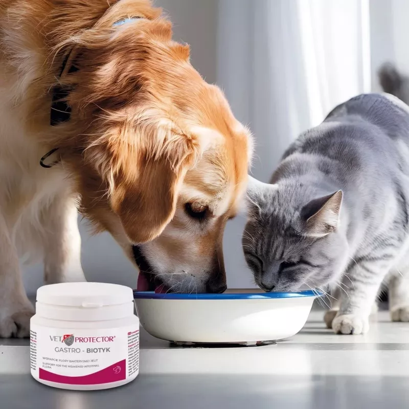 Maisto papildas JM Sante Multibiotic Vet Protector Gastro šunims ir katėms, 60 g – probiotinė parama suaugusiems augintiniams