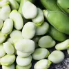 Sėklų pakelis Apte PNOS — Pupos (fava) Jankiel Bialy, 50 g