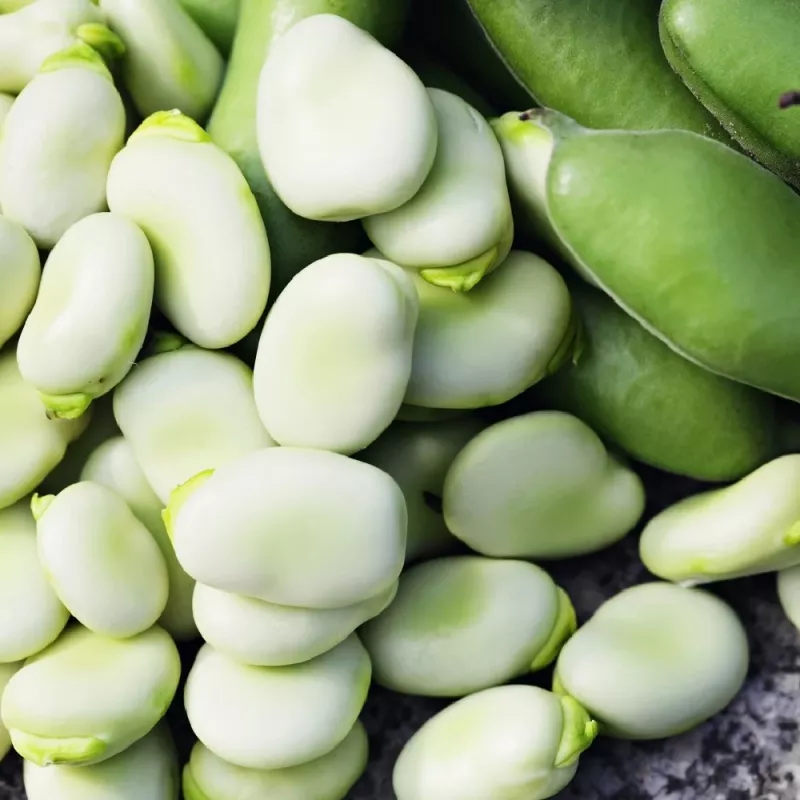 Sėklų pakelis Apte PNOS — Pupos (fava) Jankiel Bialy, 50 g