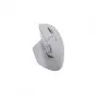 multi mode pelė white