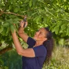 Genėjimo žirklės GARDENA PremiumCut 12241-20 apvedamosios, pilka/turkio