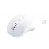 Matius belaidė USB-C Pro pelė balta