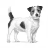 Sausas šunų ėdalas Royal Canin Gastrointestinal Low Fat Small — 1,5 kg, mažai riebalų turinti formulė mažų veislių suaugusiems šunims