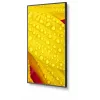 NEC MultiSync M651-2 Kiosk dizainas 165,1 cm (65 colių) LED 500 cd/m² 4K Ultra HD juoda Integruotas procesorius