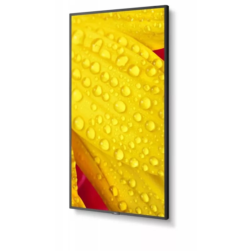 NEC MultiSync M651-2 Kiosk dizainas 165,1 cm (65 colių) LED 500 cd/m² 4K Ultra HD juoda Integruotas procesorius