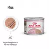 Royal Canin BABYCAT INSTINCTIVE - Drėgnas kačių maistas - 195 g