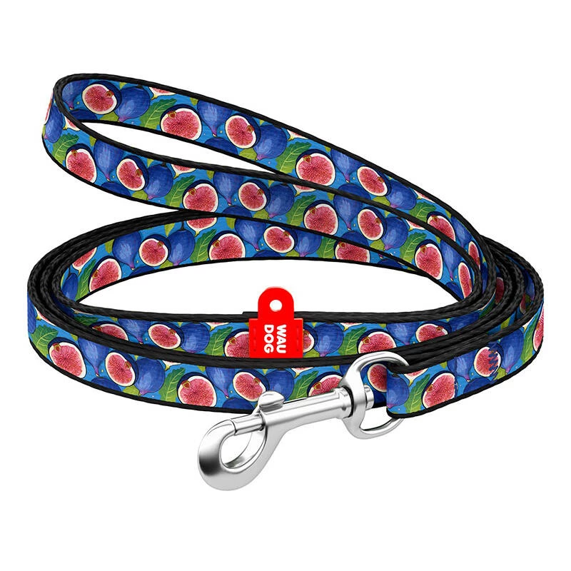 WAUDOG nailoninis šuns pavadėlis 20 mm pločio, 122 cm ilgio fig