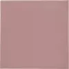 Thermal Grizzly Minus Pad 8 - 100 x 100 x 1.0 mm, 2 vnt.