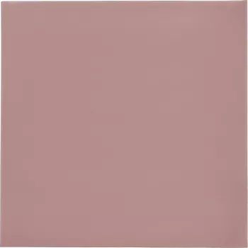 Thermal Grizzly Minus Pad 8 - 100 x 100 x 1.0 mm, 2 vnt.
