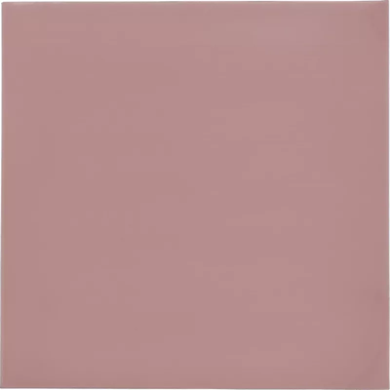 Thermal Grizzly Minus Pad 8 - 100 x 100 x 1.0 mm, 2 vnt.