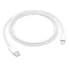 Apple USB-C į Lightning kabelis (1 m)