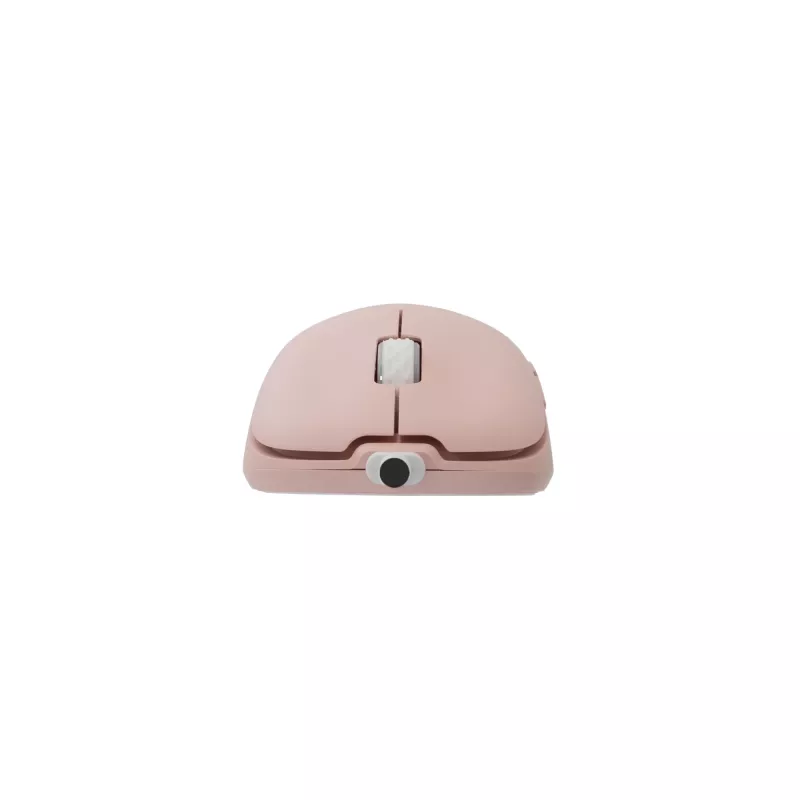 Pelė White Shark GM-5014 Graphene Pink USB