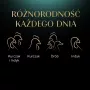 Šlapias kačių maistas Sheba padėkle padaže Paukštiena (vištiena, kalakutiena) 32 x 85 g padėklai
