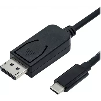 ROLINE - Adapter kabelis - 24 pin USB-C (M) to DisplayPort (M) - USB 3.1 / DisplayPort 1.2 - 2 m - bi-direktional, Supports 4K 60 Hz (3840 x 2160) - Juoda (11.04.5958)