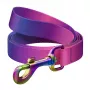 WAUDOG gradiento nailoninis šunų pavadėlis, 20 mm pločio, 122 cm ilgio, violetinis