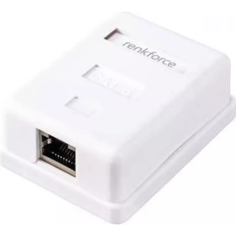 Renkforce tinklo adapteris paviršiniam montavimui CAT 6 1 prievadas baltas (RF-4541182)
