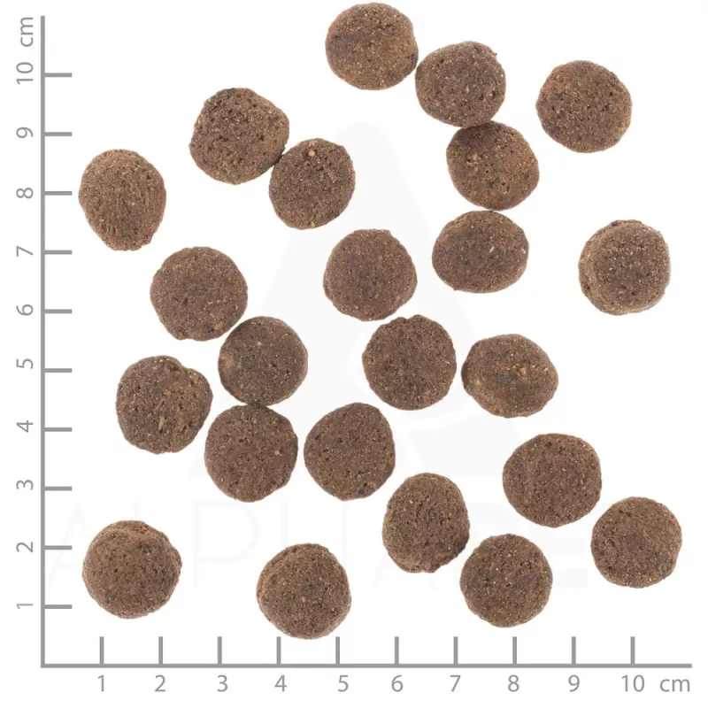 Sausas šunų maistas Wolfsblut VetLine Hypoallergenic Horse — 12 kg, monoproteinas, 20% baltymų, be grūdų ir glitimo