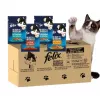 Šlapias kačių maistas Purina Felix daug baltymų 100 g pakelis — žuvies ir vištienos skonio, suaugusioms katėms, pakuotėje 120 vnt.