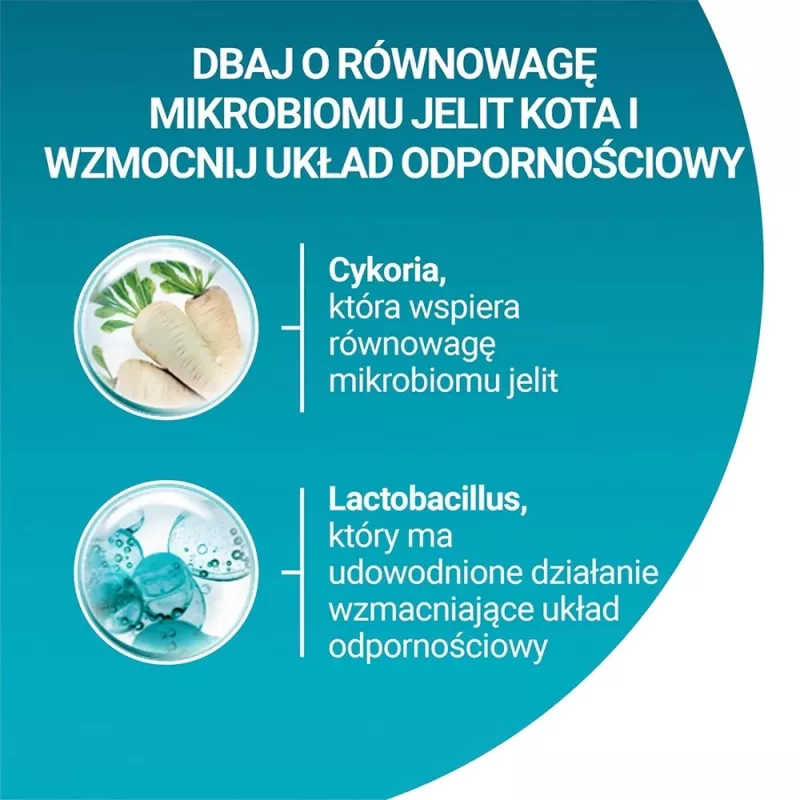 PURINA One Bifensis Senior 7+ - sausas kačių ėdalas - 800 g