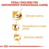 Sausas šunų maistas Royal Canin Cavalier King Charles Adult 1,5 kg — Vištiena, Maža veislė, Odos ir kailio, Širdies palaikymas