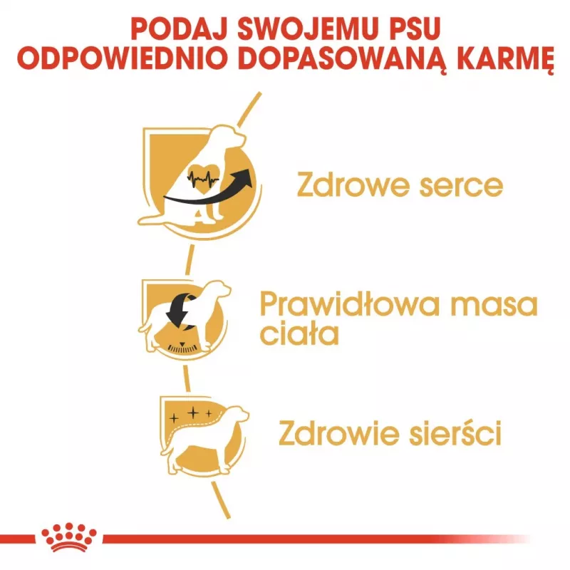 Sausas šunų maistas Royal Canin Cavalier King Charles Adult 1,5 kg — Vištiena, Maža veislė, Odos ir kailio, Širdies palaikymas