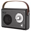 Nešiojamasis radijas Savio RS-01 Analog Juoda