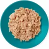 Šlapias kačių maistas Applaws Tuna Fillet with Mackerel in Jelly 70 g pakelyje, suaugusioms katėms, 82 % drėgmės, 13 % baltymų