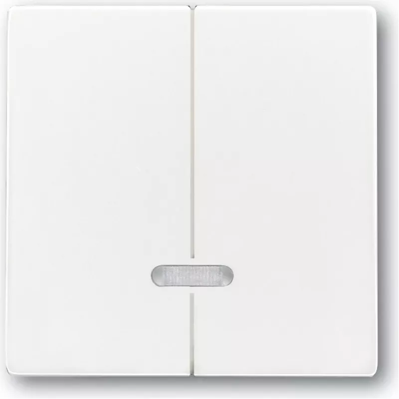 Busch-jaeger 2CKA006599A2908 tinklo įrenginys baltas