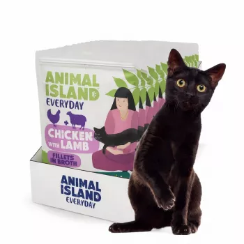 Animal Island 5904905084798