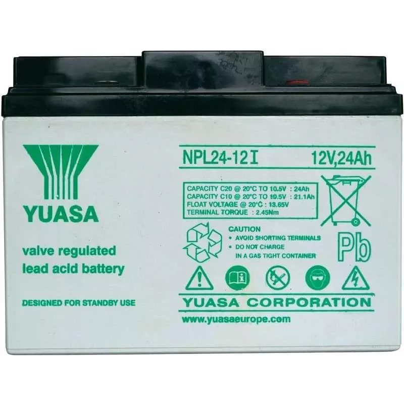 Sandari AGM baterija Yuasa NPL24-12 12V 24Ah su M5 gnybtu