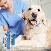 Žaizdų gelis JM Sante Polisept Vet 30 ml šunims ir katėms, tūbelė 30 ml, 50 g