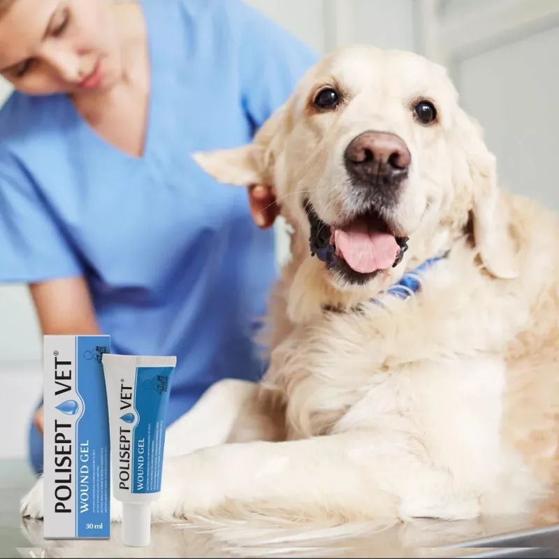 Žaizdų gelis JM Sante Polisept Vet 30 ml šunims ir katėms, tūbelė 30 ml, 50 g