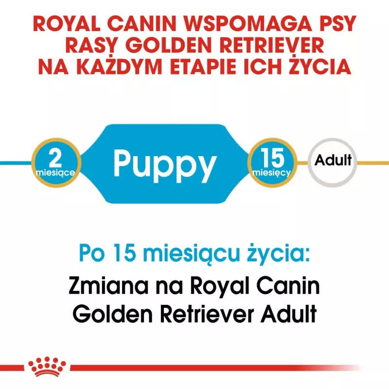 Royal Canin Golden Retriever Junior sausas šunų maistas 12 kg – paukštiena, 29 % baltymų, 16 % riebalų