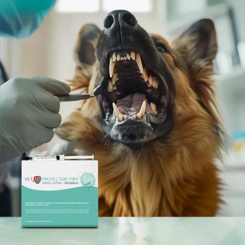 Burnos priežiūros gelis JM Sante Vet Protector — burnai ir dantenoms, veterinarinė burnos higiena